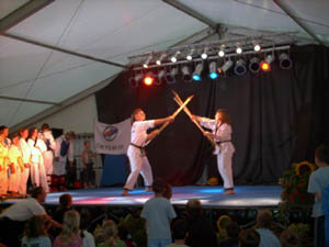 Bild vom Hap Ki Do-Auftritt